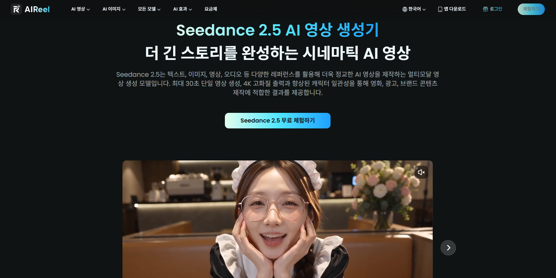 AIReel Seedance 2.5 사용 화면